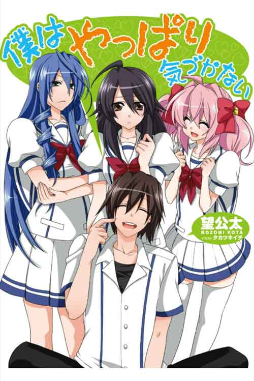 Download I Really Don’t Notice Light Novel Pdf