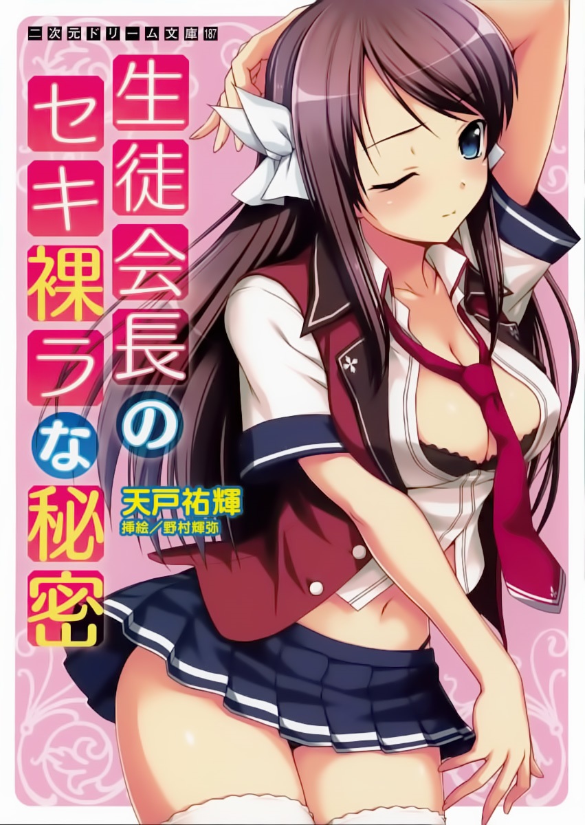 The Student Council President’s Secret Laid Bare Light Novel Epub