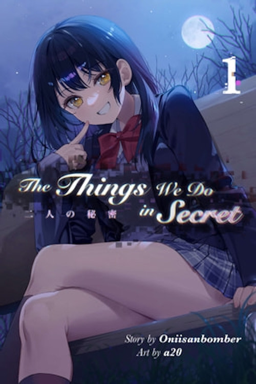 The Things We Do in Secret Light Novel Epub